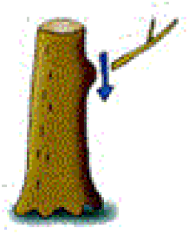 jkila-52-3-59-i1